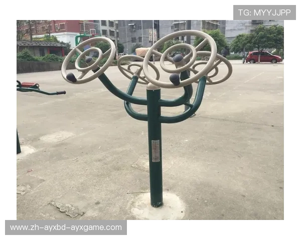 小型健身器材10件推荐及其在家庭体育锻炼中的实用价值