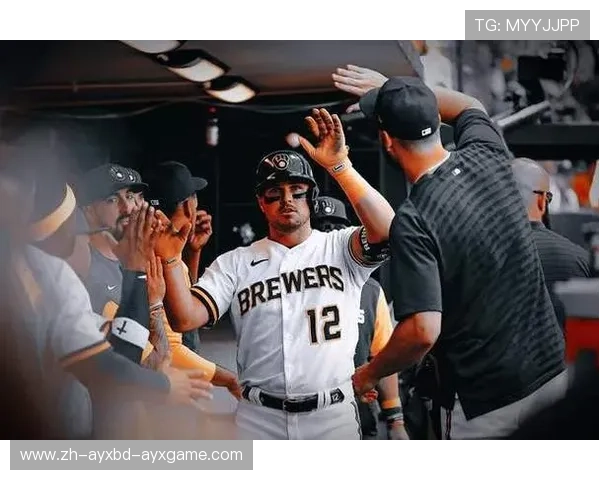 高校棒球联盟的发展现状与影响力分析